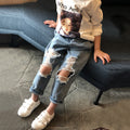 a001609ff6d9d8c39d0b550940a132b0